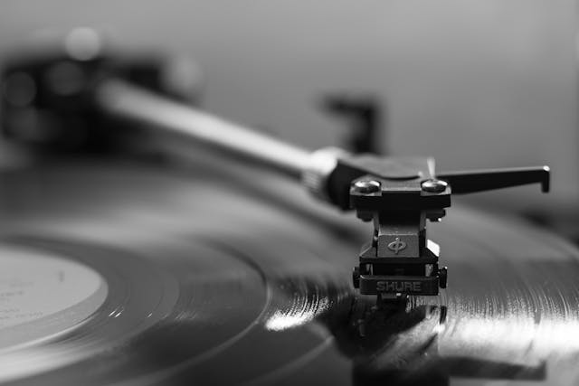 A closeup of a needle on an album